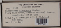 Image Associated With the Occurence